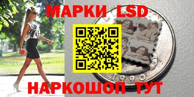 индика Обь