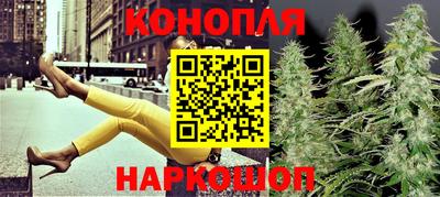 индика Обь