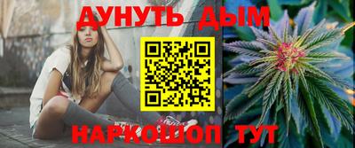 индика Обь
