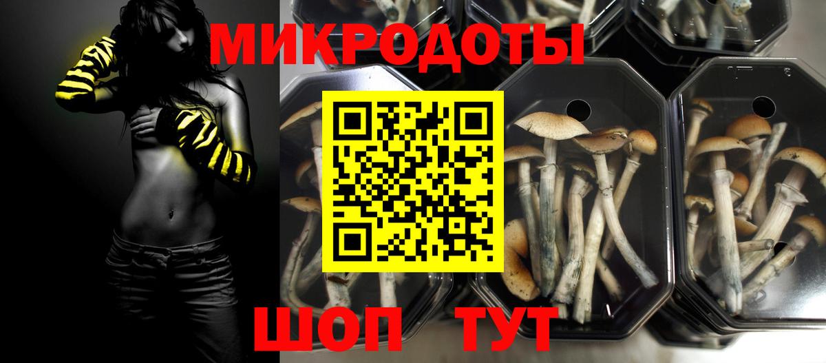 Пенза  Псилоцибиновые грибы MAGIC MUSHROOMS  Вход с VPN 
